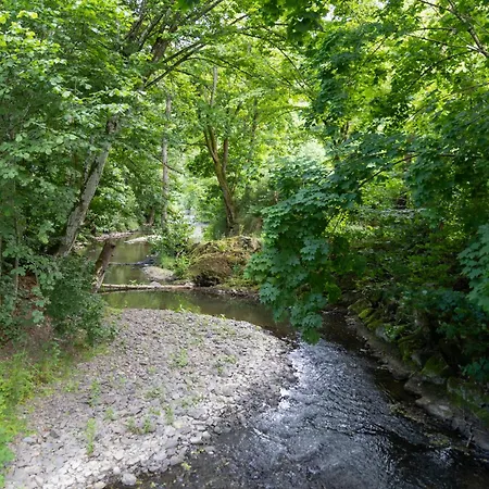 度假居 Waldhaus Nitztal 马延